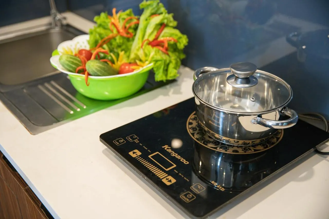 Delfino Hotel And Apartment Da Nang