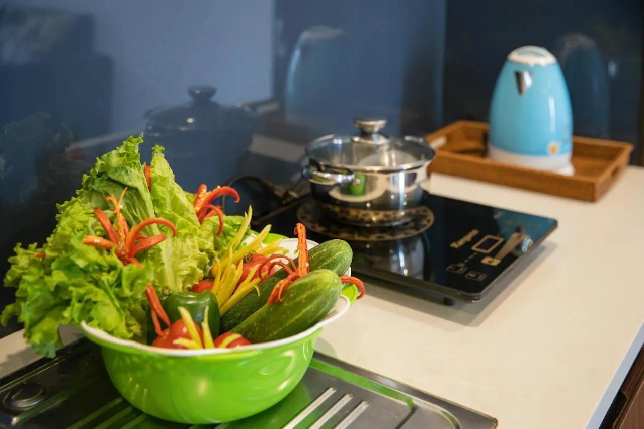 Delfino Hotel And Apartment Da Nang Vietnam
